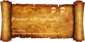 Pandur Pénelopé névjegykártya